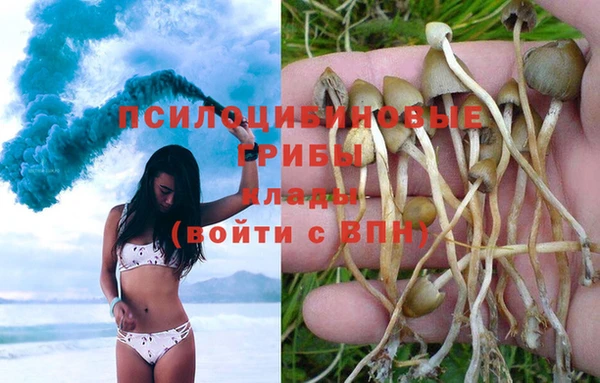 a pvp Белоозёрский