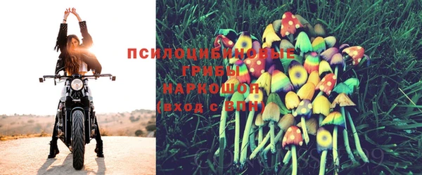 альфа пвп Белокуриха