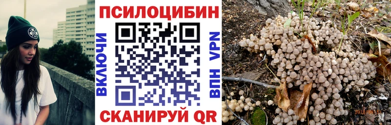 Псилоцибиновые грибы Magic Shrooms где купить Выкса
